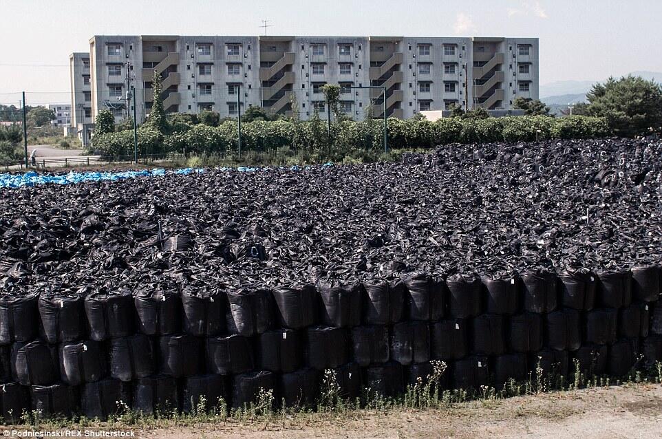 Foto2 4 Tahun Kemudian Setelah Bencana Nuklir Fukushima 2011