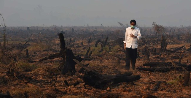 &#91;BAR SADAR&#93; Terima Bantuan Singapura, alasan Jokowi bukan Kebakaran Hutan Biasa