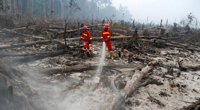 Presiden Jokowi Cek Kabut Asap dan Kebakaran Hutan Sumatera Hari Ini