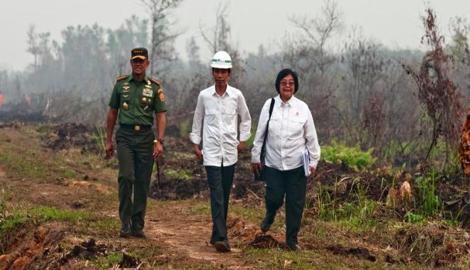 Diplomasi Indonesia plin plan soal kebakaran hutan