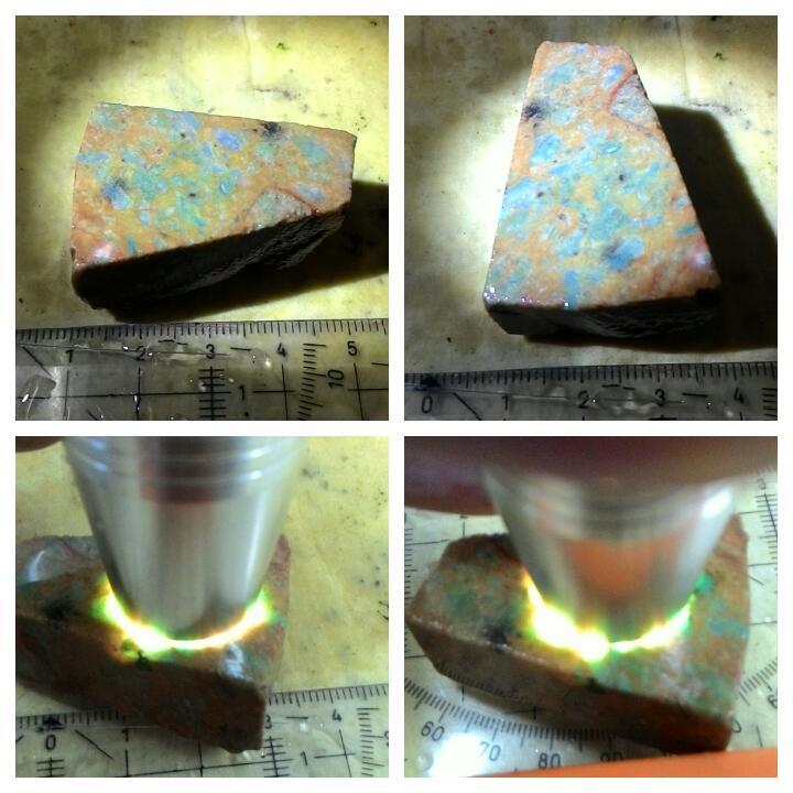 LELANG AKU MAH APA AGANNN( PANCAWARNA,LUMUT,BACAN,DLL) CLOSE 13/10 22:00 AUTOCLOSE