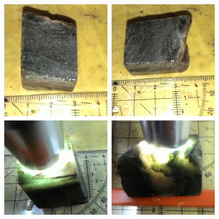 LELANG AKU MAH APA AGANNN( PANCAWARNA,LUMUT,BACAN,DLL) CLOSE 13/10 22:00 AUTOCLOSE