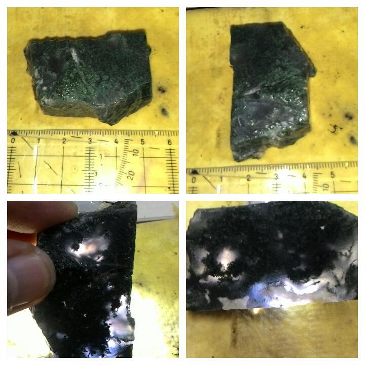 LELANG AKU MAH APA AGANNN( PANCAWARNA,LUMUT,BACAN,DLL) CLOSE 13/10 22:00 AUTOCLOSE