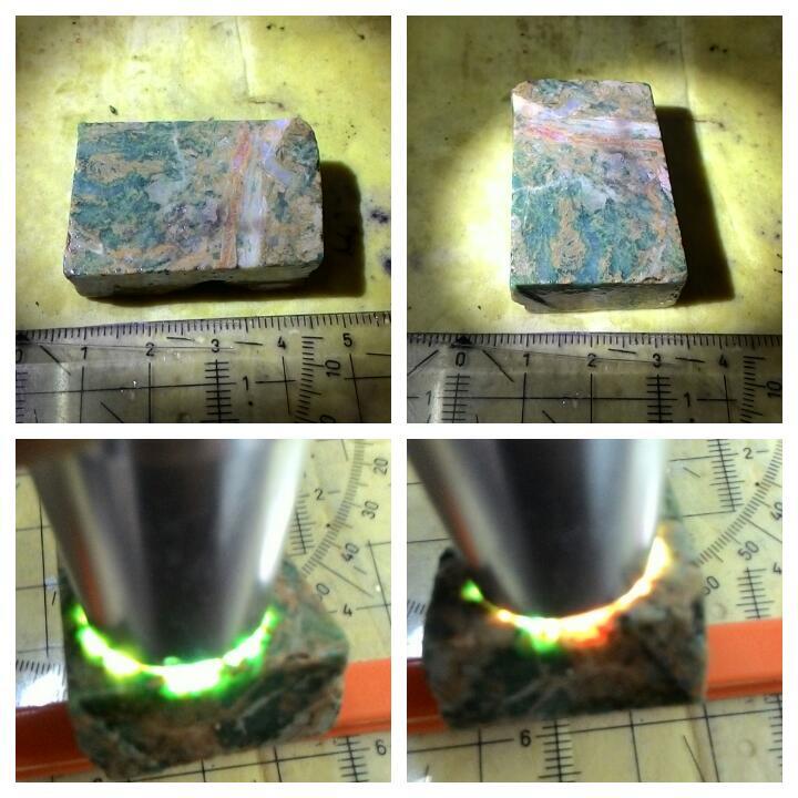 LELANG AKU MAH APA AGANNN( PANCAWARNA,LUMUT,BACAN,DLL) CLOSE 13/10 22:00 AUTOCLOSE