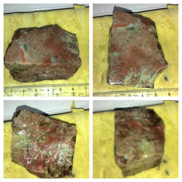 LELANG AKU MAH APA AGANNN( PANCAWARNA,LUMUT,BACAN,DLL) CLOSE 13/10 22:00 AUTOCLOSE