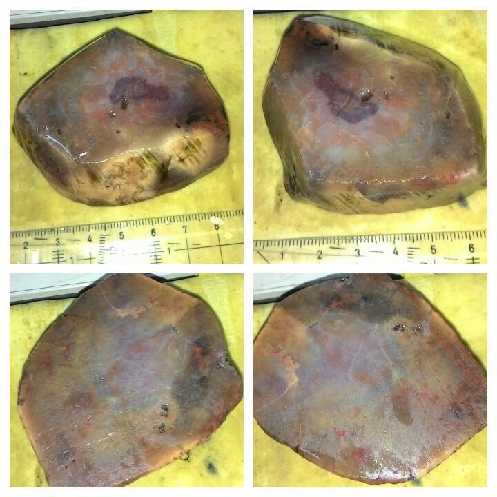 LELANG AKU MAH APA AGANNN( PANCAWARNA,LUMUT,BACAN,DLL) CLOSE 13/10 22:00 AUTOCLOSE