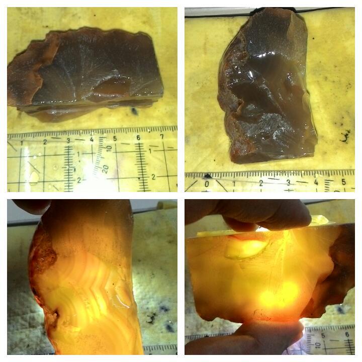 LELANG AKU MAH APA AGANNN( PANCAWARNA,LUMUT,BACAN,DLL) CLOSE 13/10 22:00 AUTOCLOSE