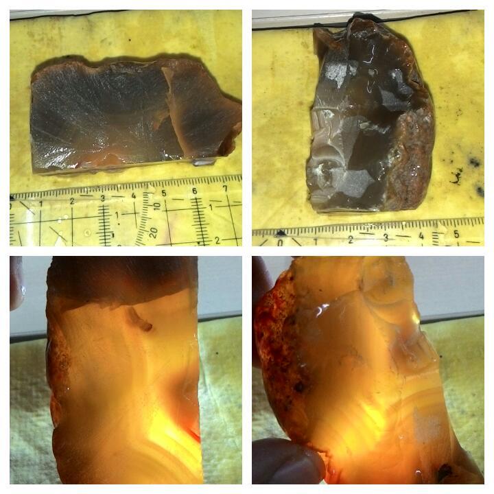 LELANG AKU MAH APA AGANNN( PANCAWARNA,LUMUT,BACAN,DLL) CLOSE 13/10 22:00 AUTOCLOSE