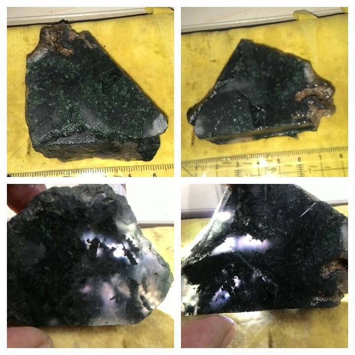 LELANG AKU MAH APA AGANNN( PANCAWARNA,LUMUT,BACAN,DLL) CLOSE 13/10 22:00 AUTOCLOSE