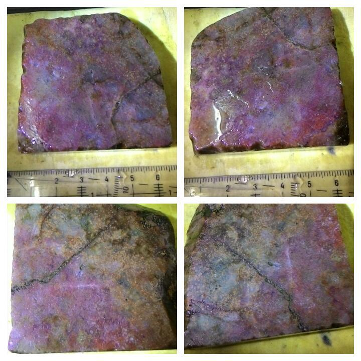 LELANG AKU MAH APA AGANNN( PANCAWARNA,LUMUT,BACAN,DLL) CLOSE 13/10 22:00 AUTOCLOSE