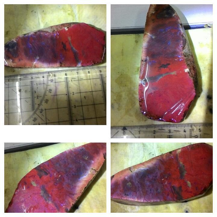 LELANG AKU MAH APA AGANNN( PANCAWARNA,LUMUT,BACAN,DLL) CLOSE 13/10 22:00 AUTOCLOSE