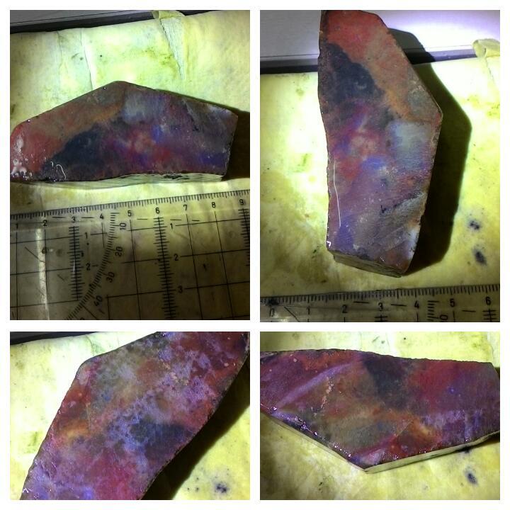 LELANG AKU MAH APA AGANNN( PANCAWARNA,LUMUT,BACAN,DLL) CLOSE 13/10 22:00 AUTOCLOSE