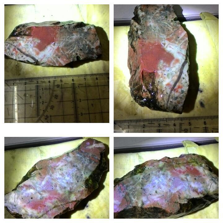 LELANG AKU MAH APA AGANNN( PANCAWARNA,LUMUT,BACAN,DLL) CLOSE 13/10 22:00 AUTOCLOSE