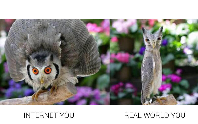 Internet you vs Real World you #TREND MEME JEPANG YANG LAGI HOT