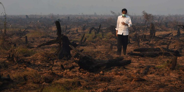 Presiden Jokowi Targetkan 2 Minggu Kabut Asap Beres !!