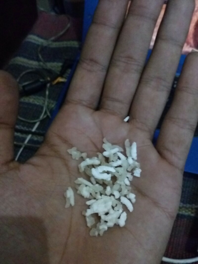 BERAS PLASTIK GAN (BENERAN) TETANGGA ANE KORBANNYA