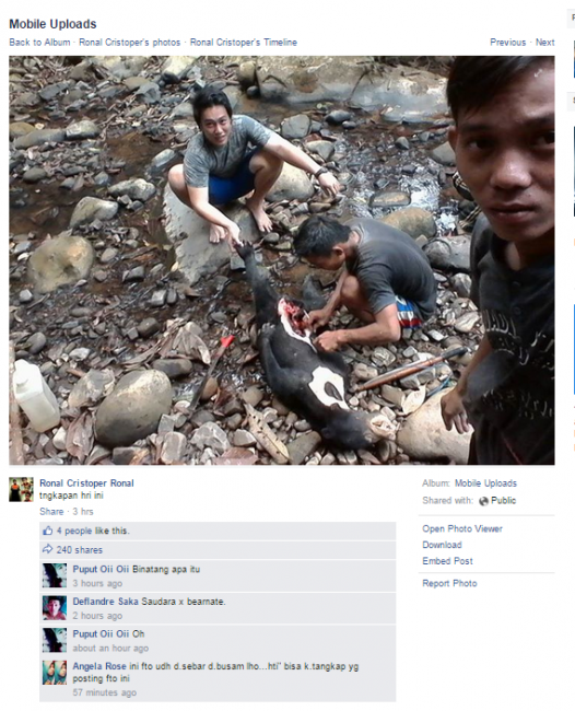 Indonesia Darurat Satwa Langka