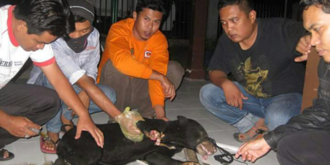 Indonesia Darurat Satwa Langka