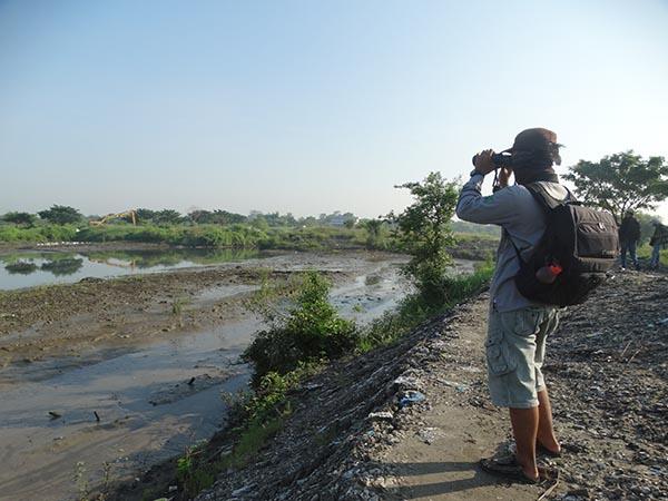GreenLifestyle - Bird Banding,Aksi Pelestarian dan Monitoring Burung Liar di Surabaya