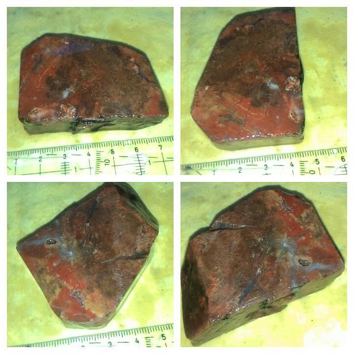 LELANG NGEEEEEEEENG(LABRADOR,BACAN,BULWAK,DLL) CLOSE 16/10 22:00 AUTOCLOSE