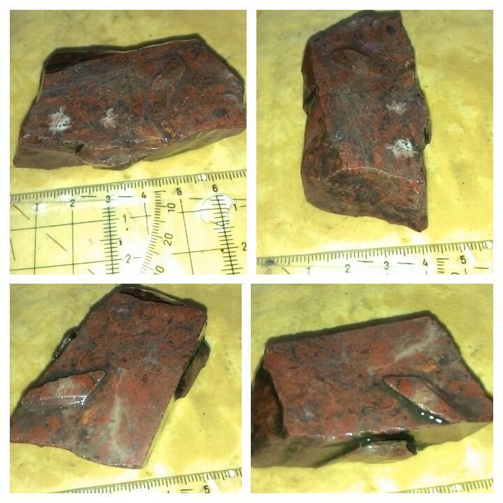 LELANG NGEEEEEEEENG(LABRADOR,BACAN,BULWAK,DLL) CLOSE 16/10 22:00 AUTOCLOSE