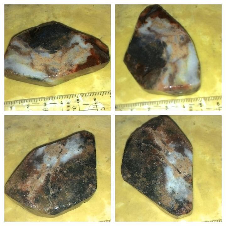 LELANG NGEEEEEEEENG(LABRADOR,BACAN,BULWAK,DLL) CLOSE 16/10 22:00 AUTOCLOSE
