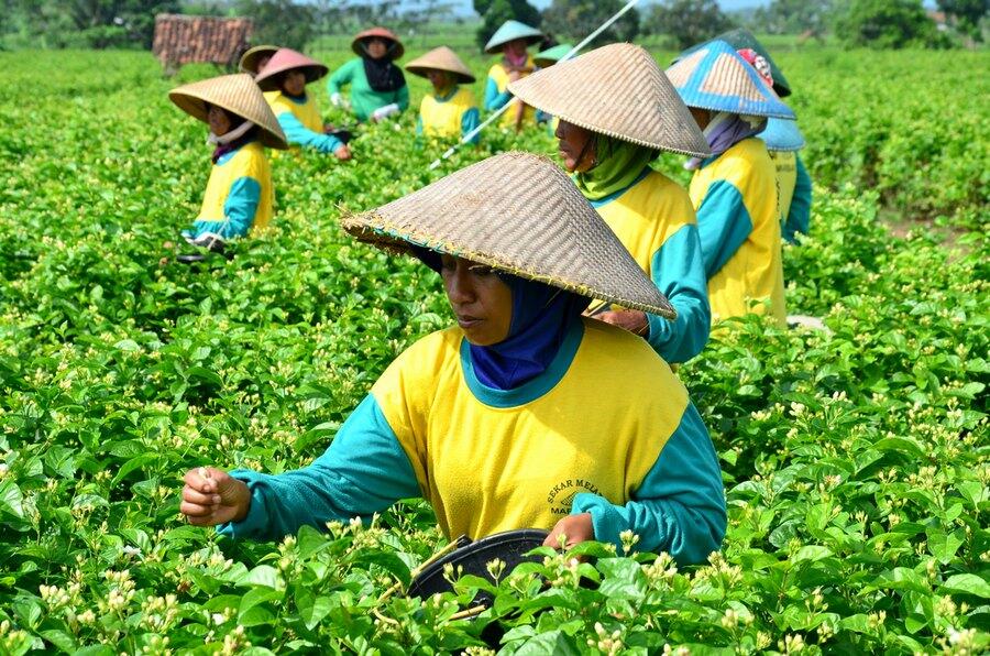 Tanpa Kita Sadari Jasa Orang-Orang Ini Membantu Meringankan Kehidupan Kita