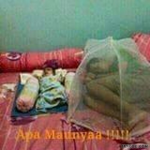 kumpulan gambar,meme,ato apalah namanya dari hp ane...