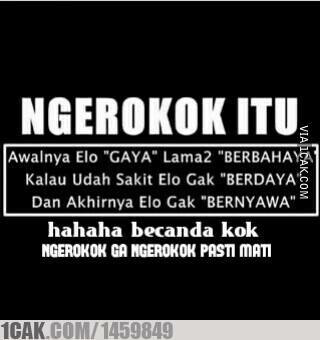 kumpulan gambar,meme,ato apalah namanya dari hp ane...