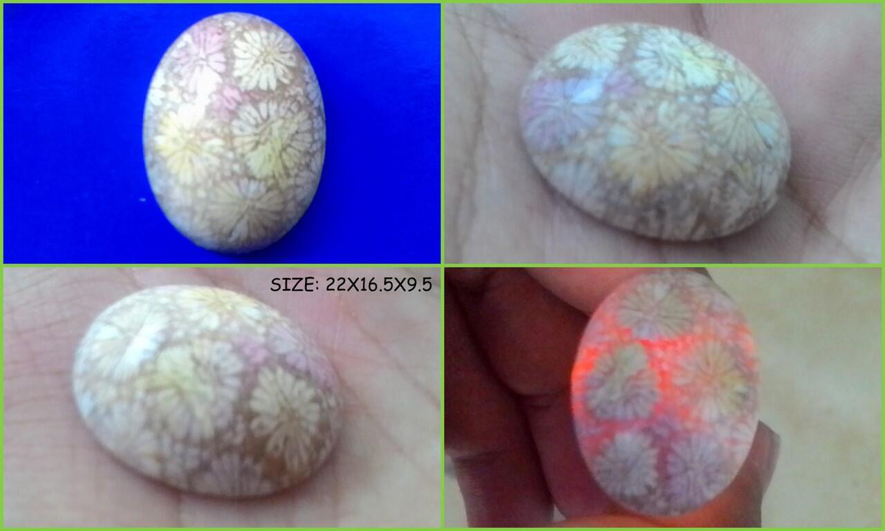 LELANG BATU NASDUKPAGI: CUMA SEHARIAN, BACAN, RED BARON, GIOK, YAMAN, SAPHIRE