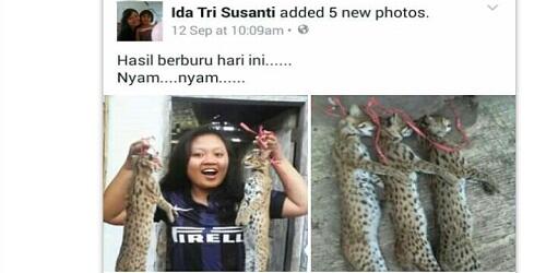 Mahasiswi yg upload foto kucing hutan hasil buruan di FB diamankan Polisi