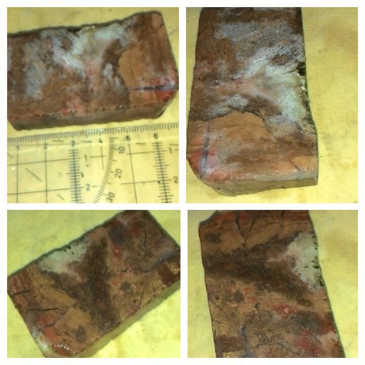 LELANG ULANG AKIBAT HUMAN ERROR(SOLOK,PW,LUMUT,DLL) CLOSE 20/10 22:00 AUTOCLOSE