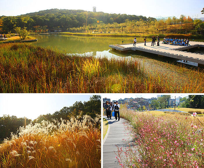 8 Tempat Terbaik Yang Bisa Agan Kunjungi Ketika Musim Gugur di Korea. Keren Gan!