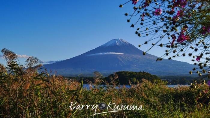 Menikmati Keindahan Gunung Fuji dari Oishi Park Yamanashi.