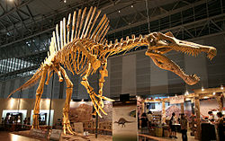 Spinosaurus, predator terbesar didunia gan