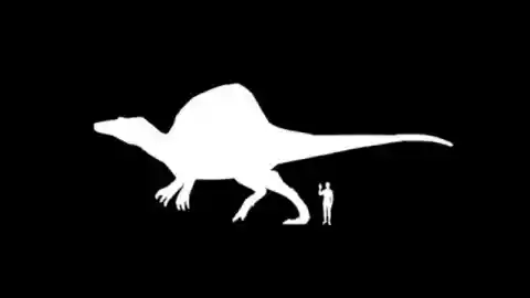 Spinosaurus, predator terbesar didunia gan