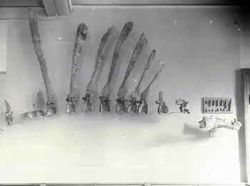 Spinosaurus, predator terbesar didunia gan