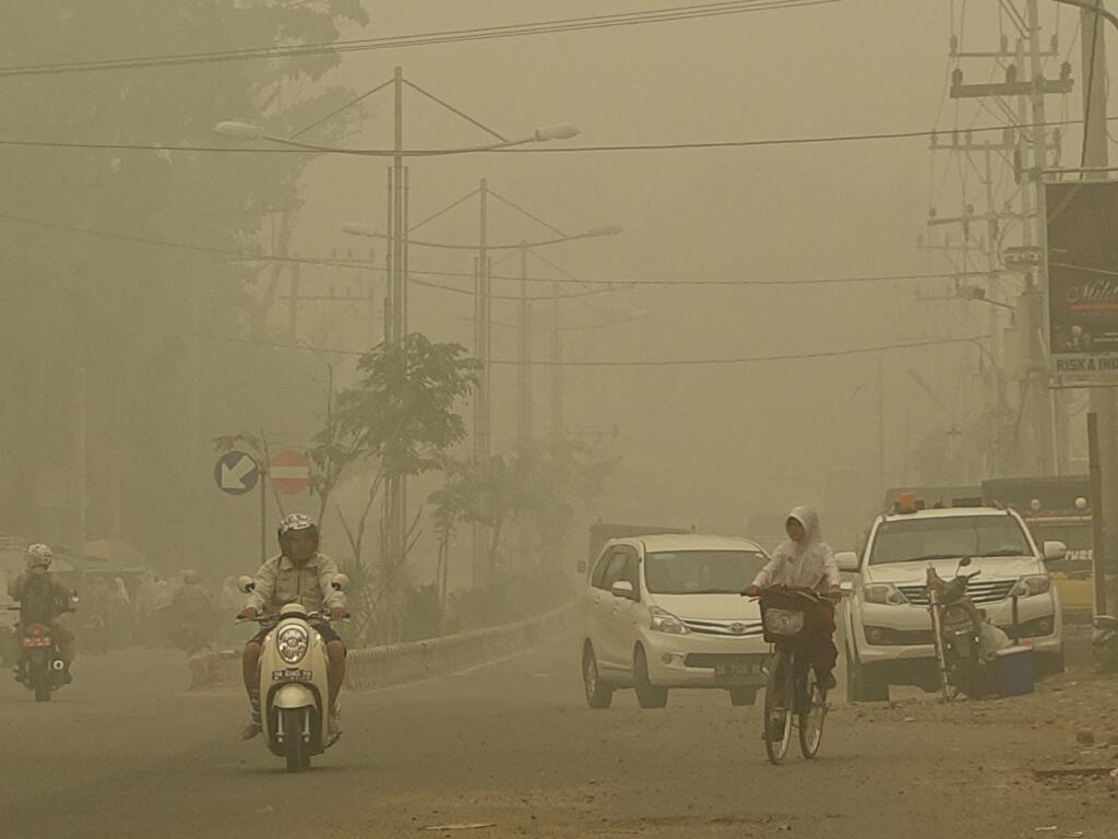 &#91;HOT News&#93; Kalimantan Selatan Darurat Asap