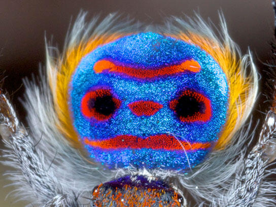 Untuk tahu foto-foto ini, mungkin kudu liat lebih dari sekali.