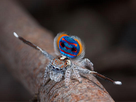 Untuk tahu foto-foto ini, mungkin kudu liat lebih dari sekali.