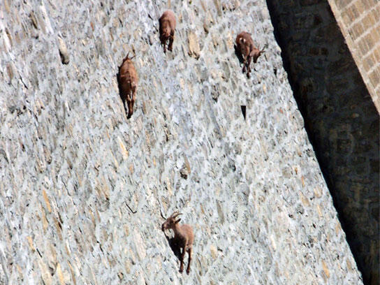 Untuk tahu foto-foto ini, mungkin kudu liat lebih dari sekali.