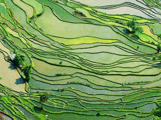 Untuk tahu foto-foto ini, mungkin kudu liat lebih dari sekali.