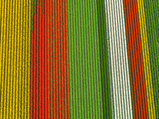 Untuk tahu foto-foto ini, mungkin kudu liat lebih dari sekali.