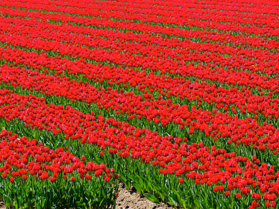 Untuk tahu foto-foto ini, mungkin kudu liat lebih dari sekali.