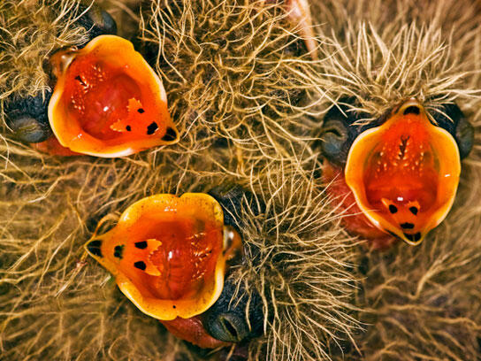 Untuk tahu foto-foto ini, mungkin kudu liat lebih dari sekali.