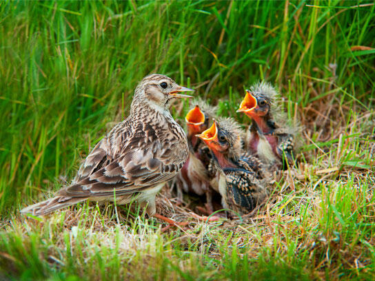 Untuk tahu foto-foto ini, mungkin kudu liat lebih dari sekali.