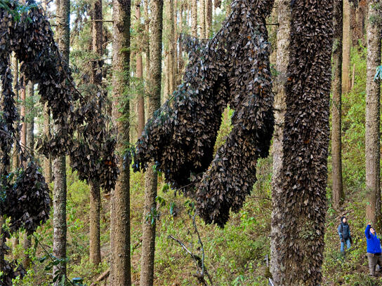 Untuk tahu foto-foto ini, mungkin kudu liat lebih dari sekali.