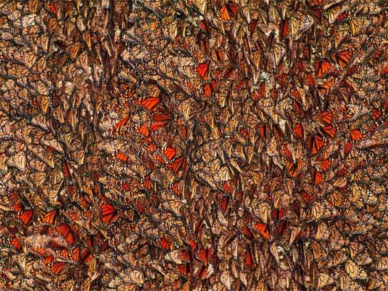 Untuk tahu foto-foto ini, mungkin kudu liat lebih dari sekali.