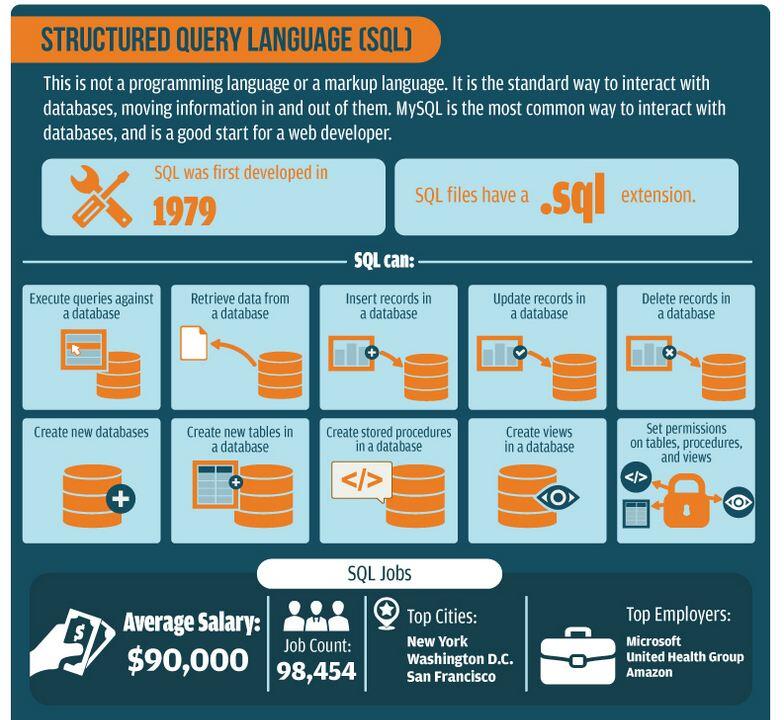 Ketahui Bahasa Pemrograman yang cocok untuk dipilih dengan Infographic berikut ini