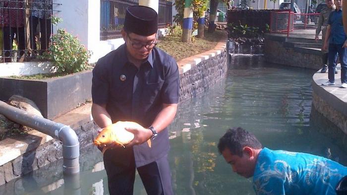 &#91;Tipuan Dahsyat&#93; Wah, Air Sungai Kantor Ridwan Kamil Kini Jernih